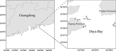 Assessment of annual variability in the population status and reproductive cycle of purple sea urchins (Heliocidaris crassispina, Agassiz, 1864) in Daya Bay, China